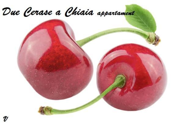 Due Cerase A Chiaia Apartment Naples